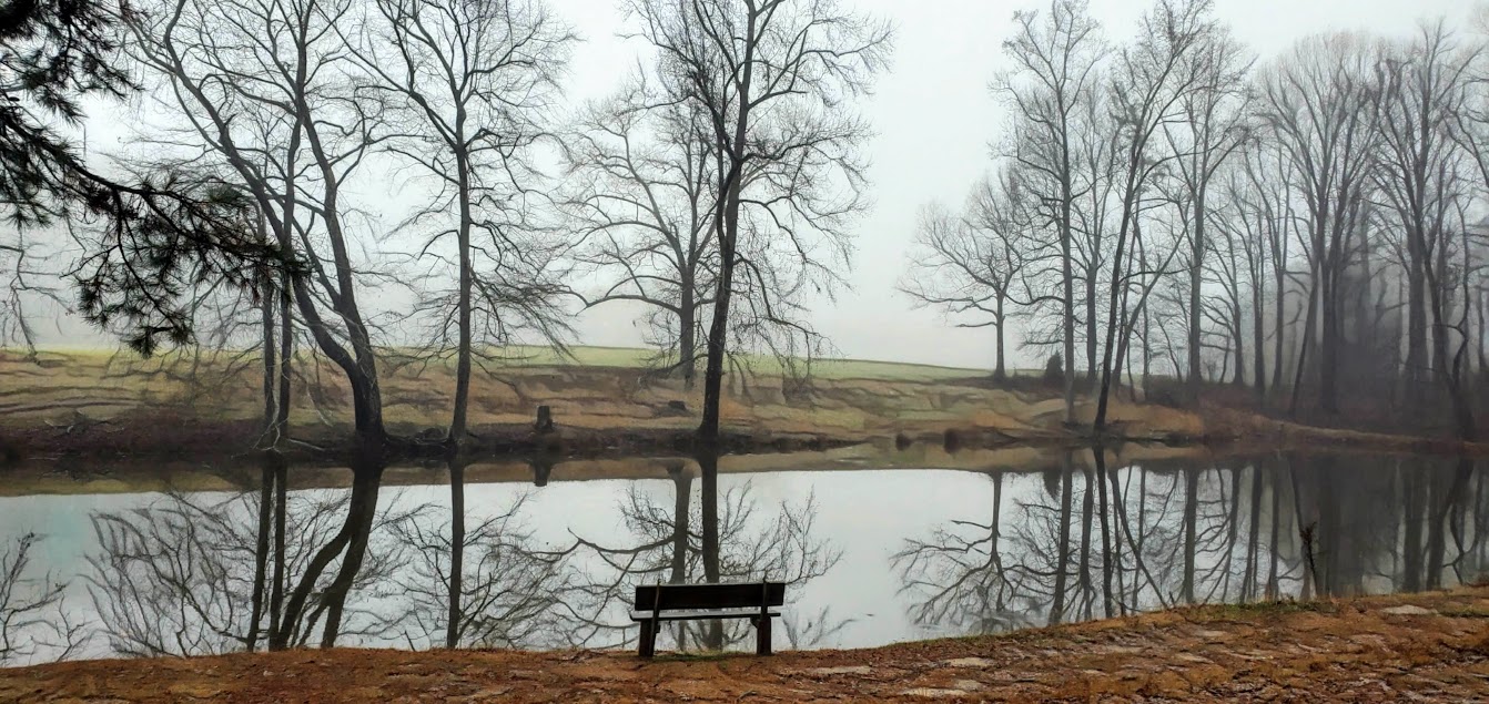 fog-trees-winter-pond-seat